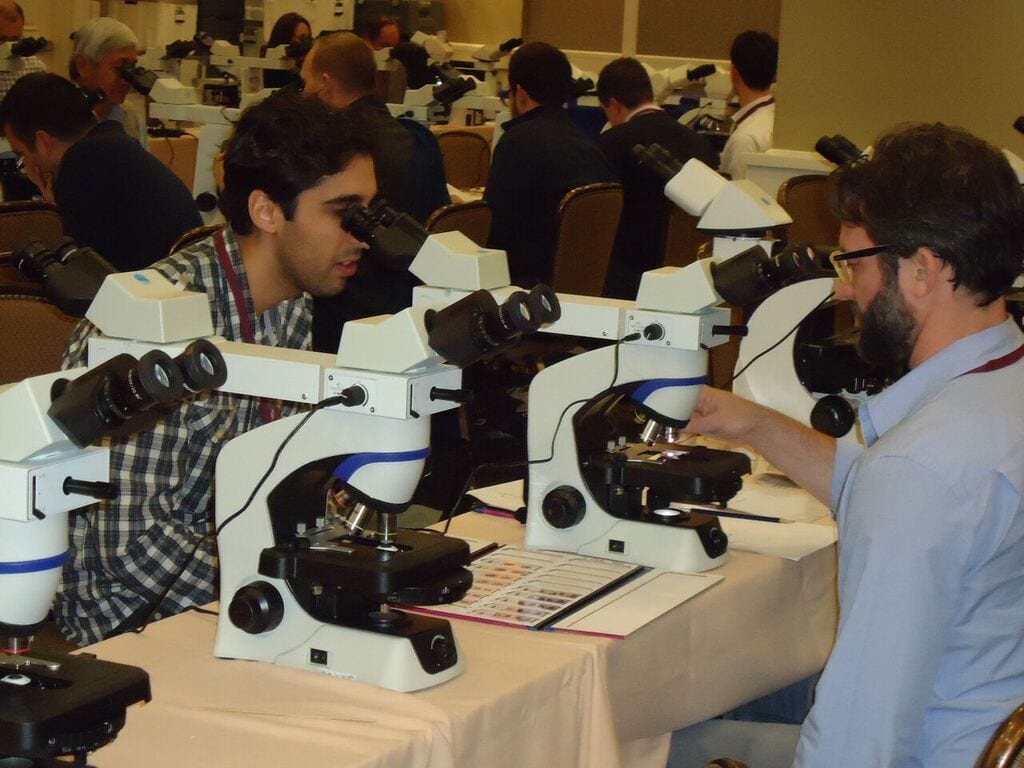 A venue ful of students using microscopes who are taking the American Mohs Surgery Microscope Course 