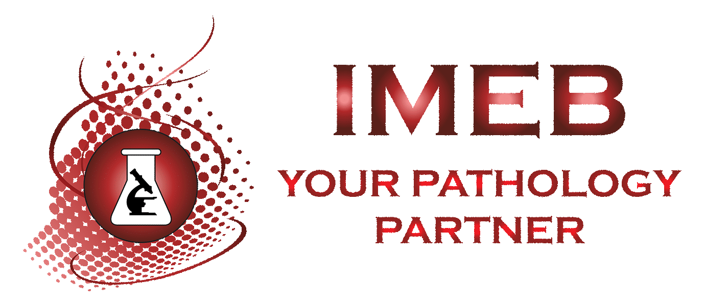 IMEB_LOGO