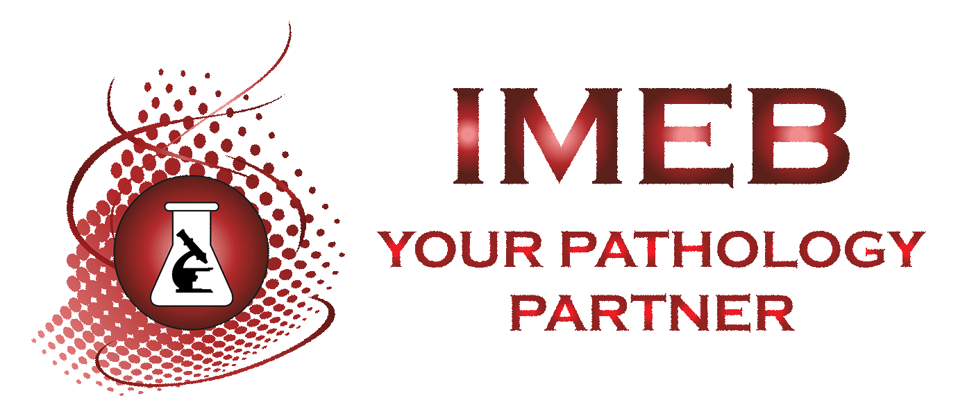 IMEB, INC.